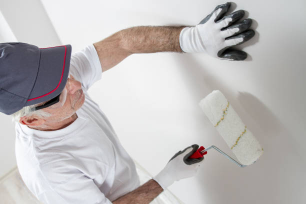 Mold Odor Removal Services in Volga, SD