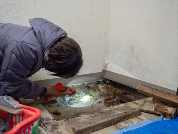 Dehumidification Services in Volga, SD