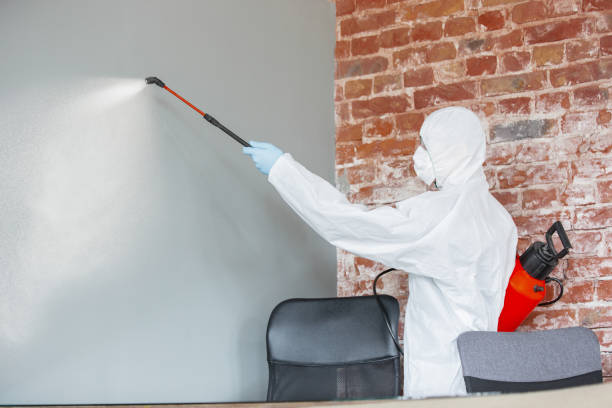 Best Mold Odor Removal Services  in Volga, SD