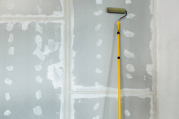 Best Commercial Mold Inspection  in Volga, SD