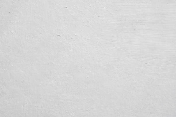 Mold Remediation for Vacation Homes